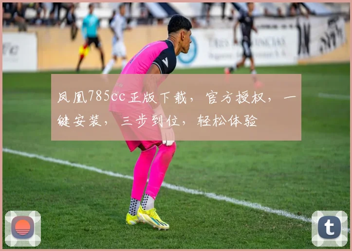 凤凰785cc正版下载，官方授权，一键安装，三步到位，轻松体验
