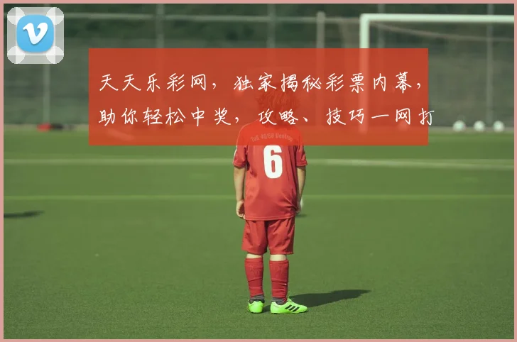 天天乐彩网，独家揭秘彩票内幕，助你轻松中奖，攻略、技巧一网打尽，快来关注