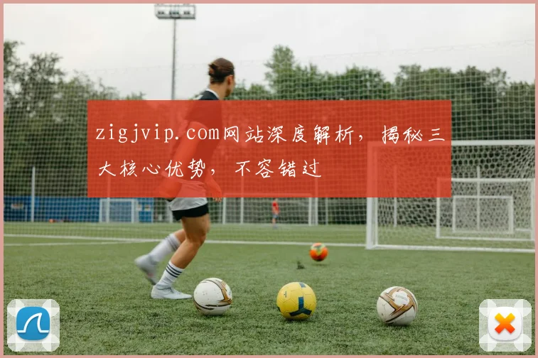 zigjvip.com网站深度解析，揭秘三大核心优势，不容错过