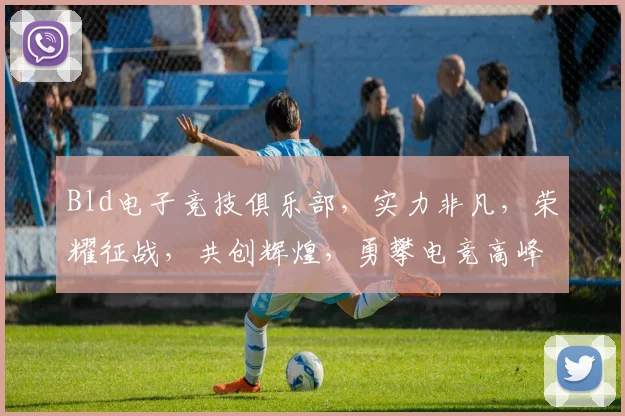 Bld电子竞技俱乐部，实力非凡，荣耀征战，共创辉煌，勇攀电竞高峰，激情四溢