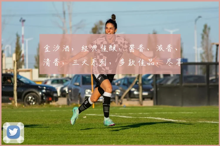 金沙酒，经典佳酿，酱香、浓香、清香，三大系列，多款佳品，尽享美酒之旅，品鉴首选