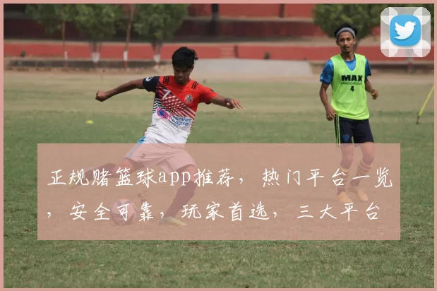 正规赌篮球app推荐，热门平台一览，安全可靠，玩家首选，三大平台对比